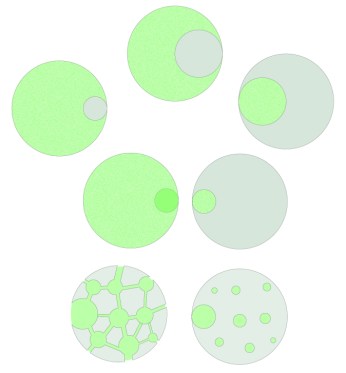 Bienal Paisaje de Canarias 1