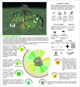 Bienal Paisaje de Canarias 4
